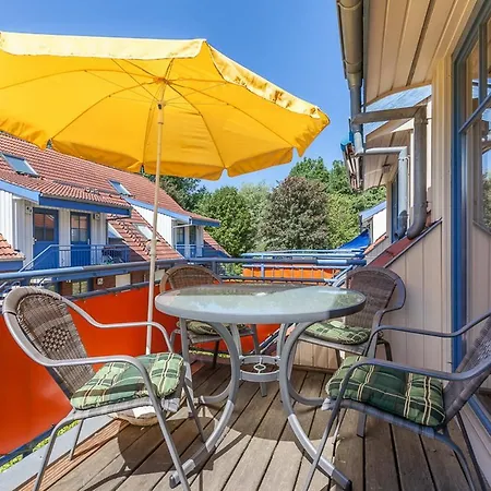 Papillon 06-7 * Boltenhagen